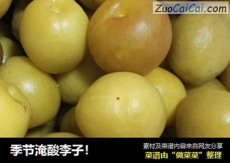 季节淹酸李子！