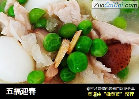 五福迎春