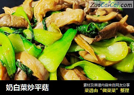 奶白菜炒平菇