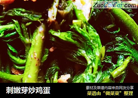 刺嫩芽炒鸡蛋