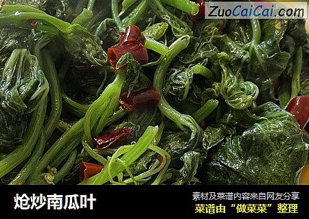 炝炒南瓜叶