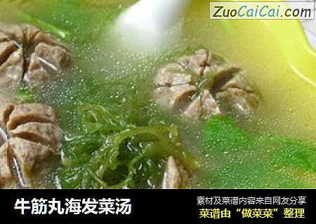 牛筋丸海发菜汤