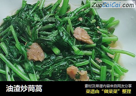 油渣炒茼蒿