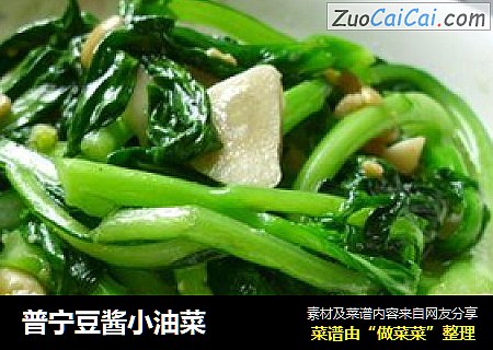 普宁豆酱小油菜