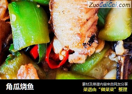 角瓜烧鱼