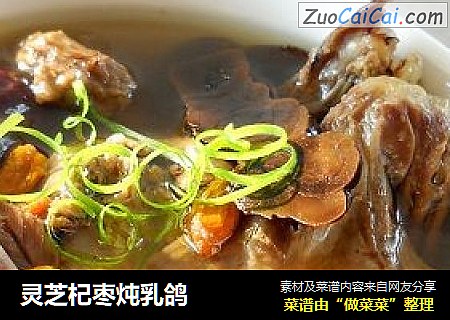 灵芝杞枣炖乳鸽