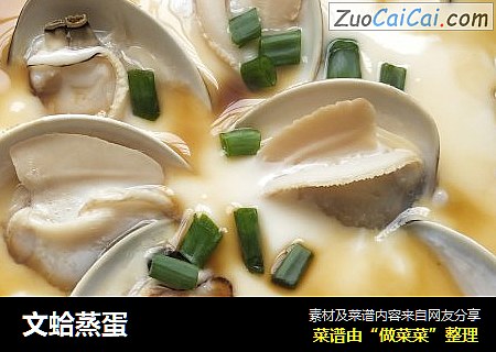文蛤蒸蛋