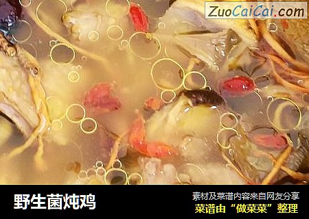 野生菌炖鸡