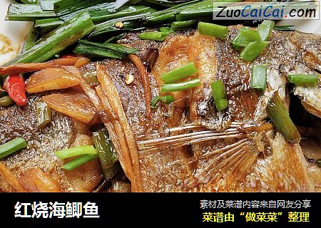 红烧海鲫鱼