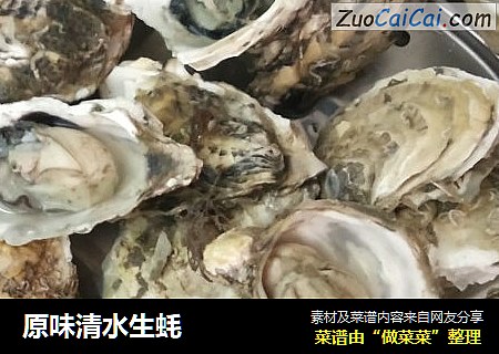原味清水生蚝