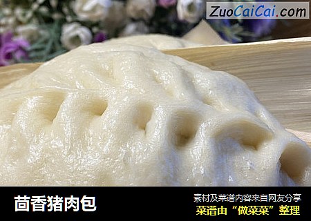 茴香猪肉包