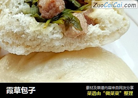 霞草包子