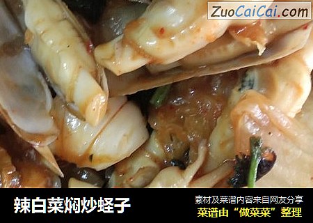 辣白菜焖炒蛏子