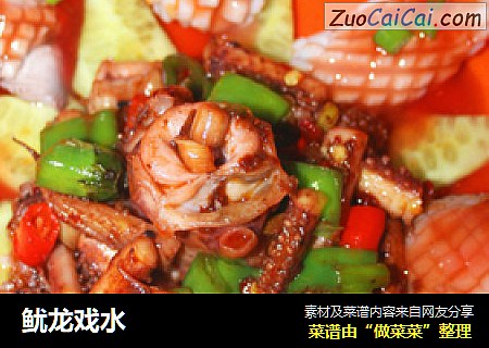 鱿龙戏水