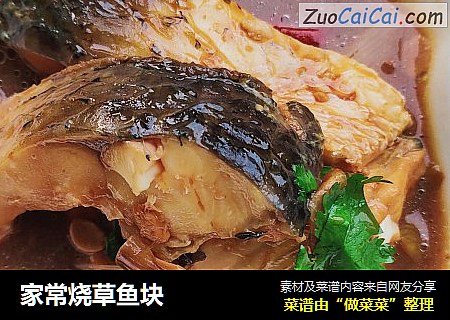 家常烧草鱼块
