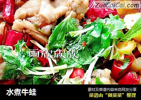 水煮牛蛙
