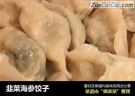 韭菜海参饺子