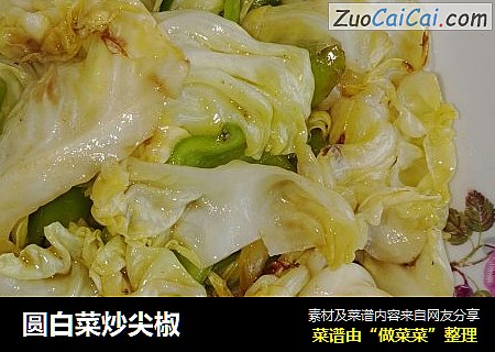 圆白菜炒尖椒