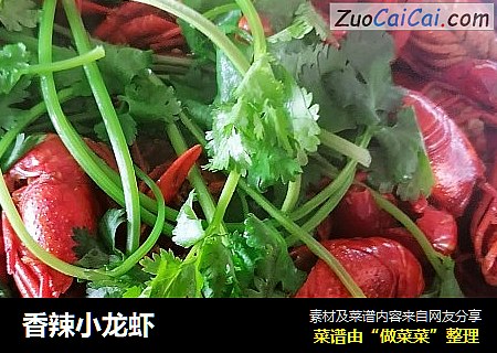 香辣小龙虾