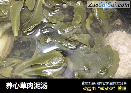 养心草肉泥汤