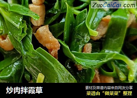 炒肉拌霞草