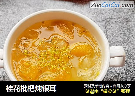 桂花枇杷炖银耳