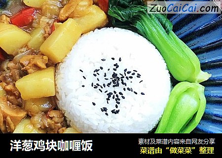 洋葱鸡块咖喱饭