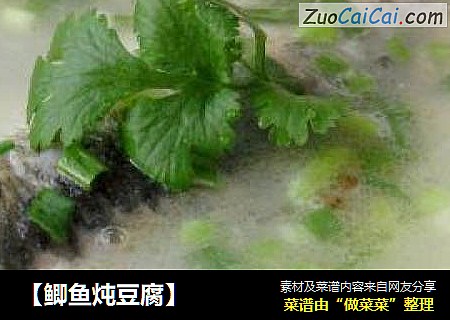 【鲫鱼炖豆腐】