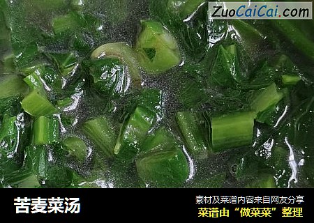 苦麦菜汤