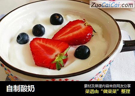 自制酸奶