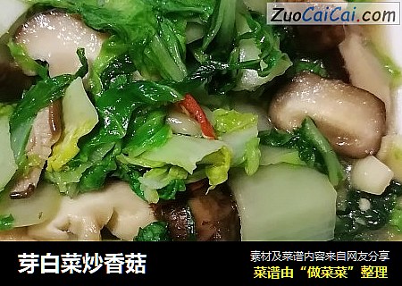 芽白菜炒香菇