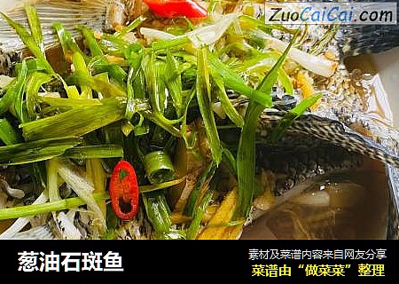 葱油石斑鱼