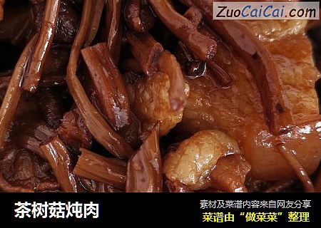 茶树菇炖肉