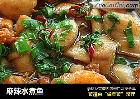 麻辣水煮鱼