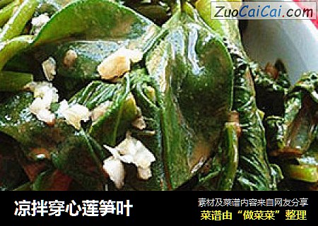凉拌穿心莲笋叶
