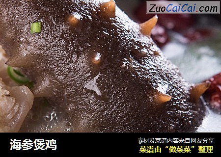 海参煲鸡