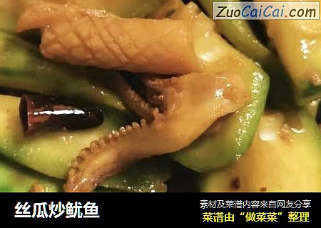 丝瓜炒鱿鱼