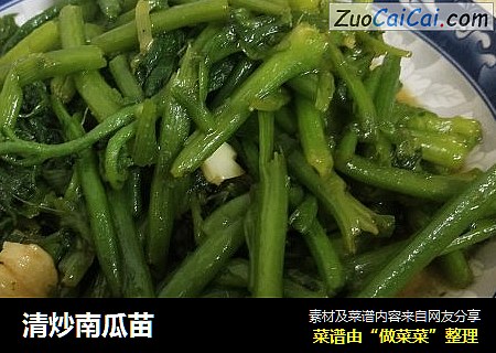 清炒南瓜苗