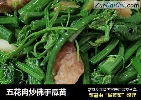 五花肉炒佛手瓜苗