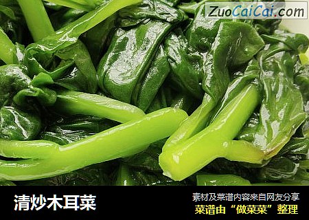 清炒木耳菜