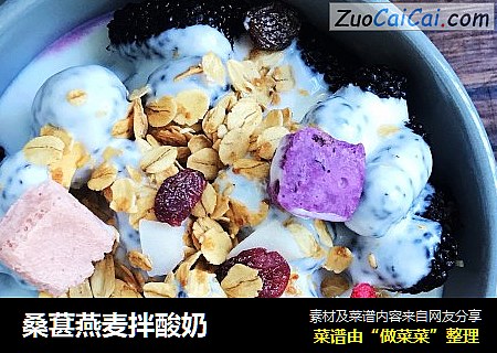 桑葚燕麦拌酸奶
