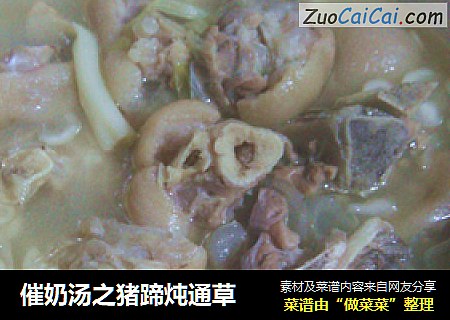 催奶汤之猪蹄炖通草