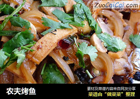 农夫烤鱼