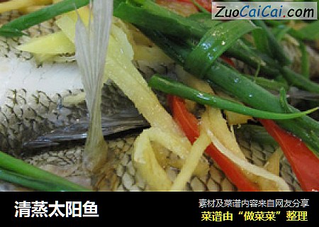 清蒸太阳鱼