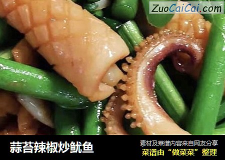 蒜苔辣椒炒鱿鱼