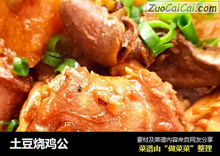 土豆烧鸡公