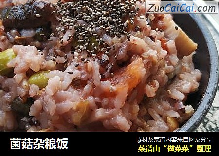 菌菇杂粮饭