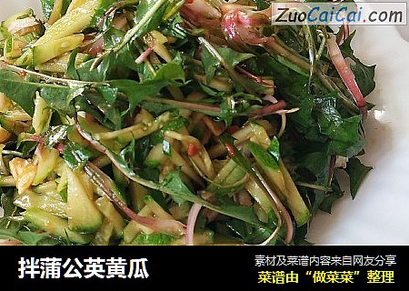拌蒲公英黄瓜