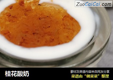 桂花酸奶