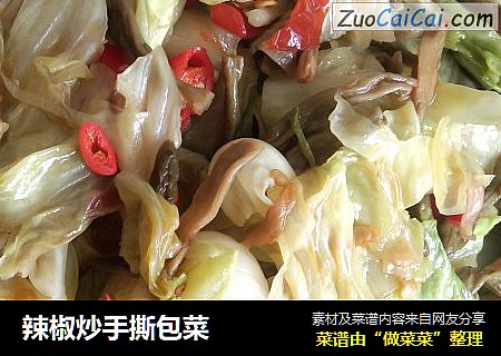 辣椒炒手撕包菜
